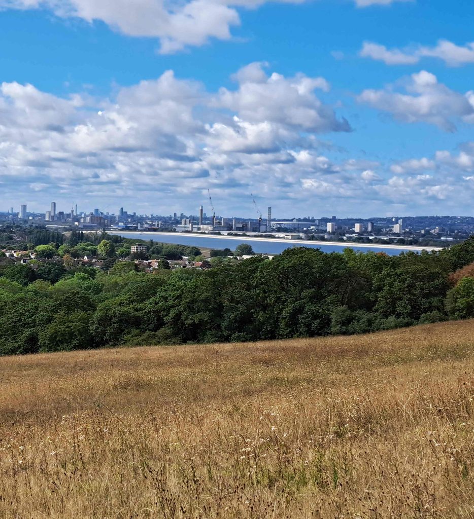 Yates Meadow 2